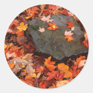 Pegatina Redonda EE.UU., Pennsylvania. Cierre Del Suelo Forestal