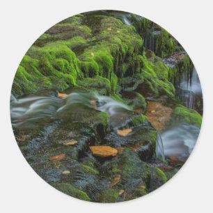Pegatina Redonda EE. UU., Pensilvania, Benton, Ricketts Glen State