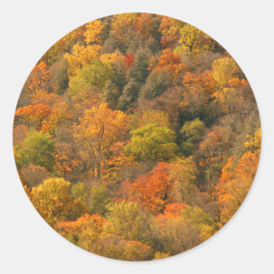 Pegatina Redonda EE. UU., Tennessee. Follaje de otoño 2