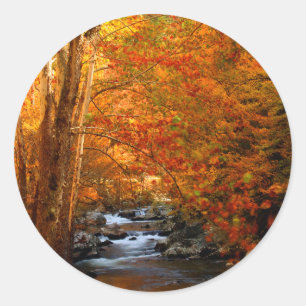 Pegatina Redonda EE. UU., Tennessee. Rushing Mountain Creek 2
