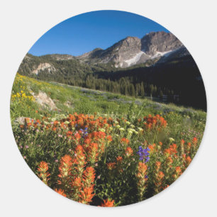 Pegatina Redonda EE. UU., Utah, Bosque Nacional Uinta-Wasatch-Cache