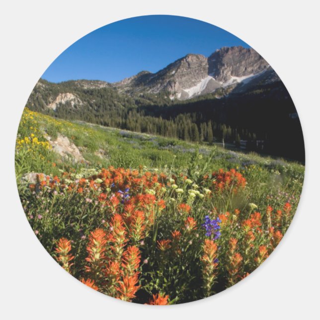 Pegatina Redonda EE. UU., Utah, Bosque Nacional Uinta-Wasatch-Cache (Anverso)