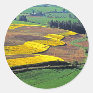 Pegatina Redonda EE.UU., Washington, Palouse, Condado de Whitman 2