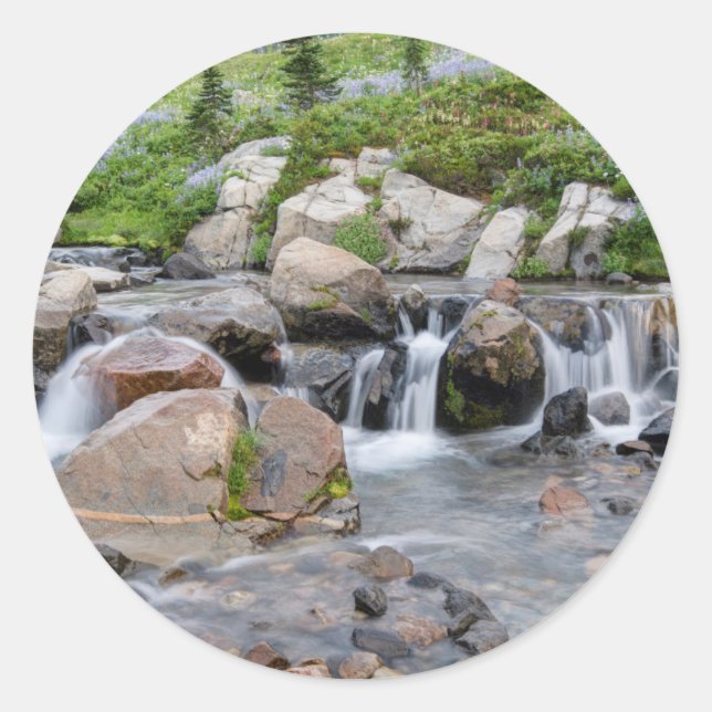 Pegatina Redonda EE.UU., Washington, Parque Nacional del Monte Rain (Anverso)