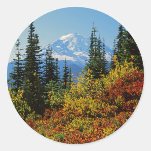 Pegatina Redonda EE. UU., Washington, Parque Nacional Mt. Rainier 2