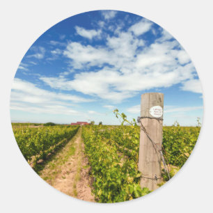 Pegatina Redonda EE. UU., Washington, Walla Walla. Cabernet Sauvign