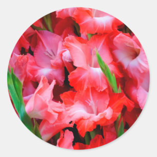 Pegatina Redonda EEUU, Georgia, Savannah, Bouquet Of Gladiolus