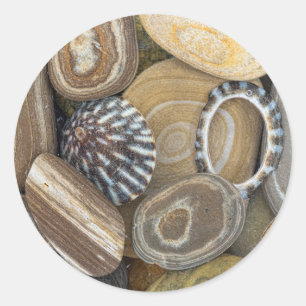 Pegatina Redonda EEUU, Washington, Seabeck. La Cercanía De La Playa