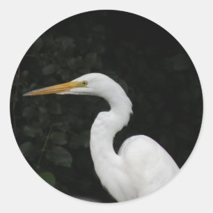Pegatina Redonda Egret