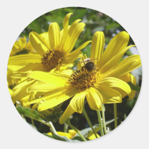 Pegatina Redonda El abejorro y el girasol