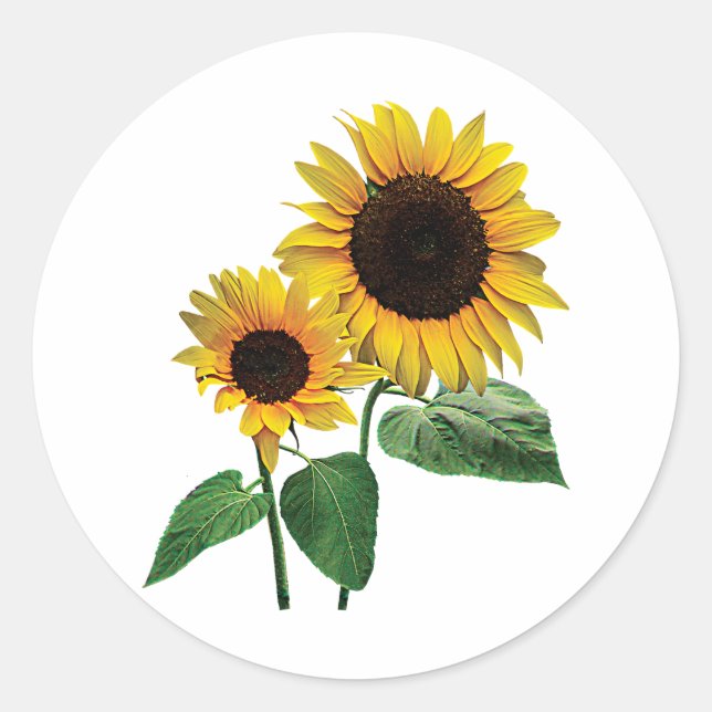 Pegatina Redonda El amor de una mami de girasol (Anverso)