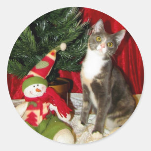 Pegatina Redonda El árbol de Navidad de la princesa Tiana - Gato /