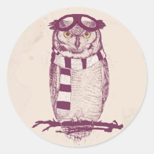 Pegatina Redonda El aviador