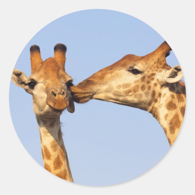 Pegatina Redonda El beso (Anverso)