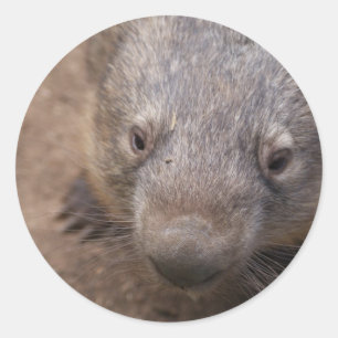 Pegatina Redonda El beso de Wombat