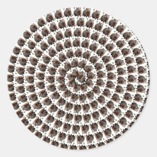 Pegatina Redonda El Camino de Wombat: una espiral de maravillas,