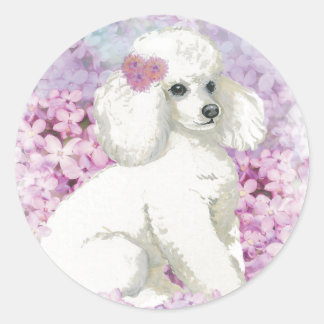 Pegatina Redonda El caniche blanco en el arte y los regalos de Lila