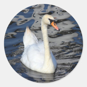 Pegatina Redonda El cisne en un lago