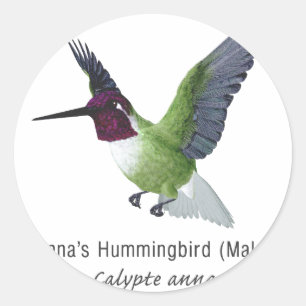Pegatina Redonda El colibrí de Anna con su nombre