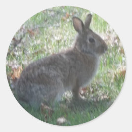 Pegatina Redonda El Conejo Feliz