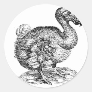 Pegatina Redonda El Dodo