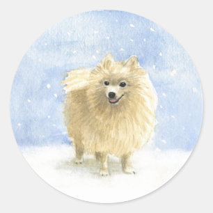 Pegatina Redonda El Eskie Pomeraniano en la Nieve