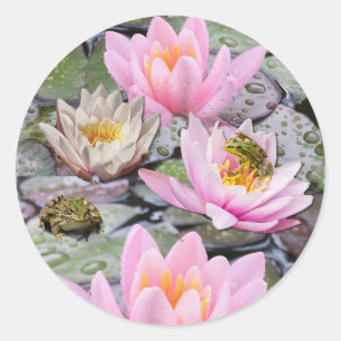 Pegatina Redonda El estanque acuático