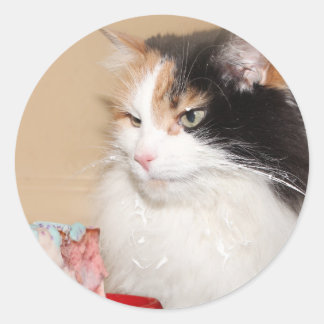 Pegatina Redonda El gato de Calico come pastel de cumpleaños