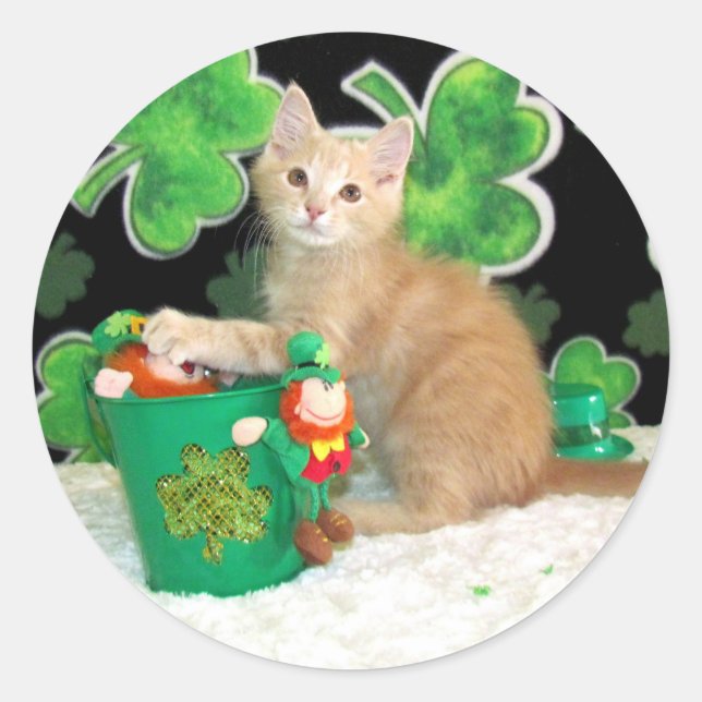 Pegatina Redonda El gato del día de Buffington en St. Patrick / Kit (Anverso)