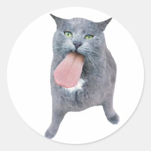 Pegatina Redonda ¿El Gato Tiene Tu Lengua?