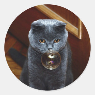 Pegatina Redonda El gato y la burbuja del jabón