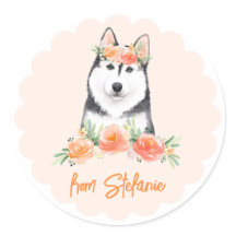 El Husky Siberiano y las Flores de Peach Cumpleaño