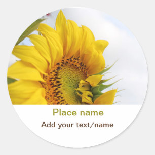 Pegatina Redonda El jardín de girasol amarillo añade el nombre de t