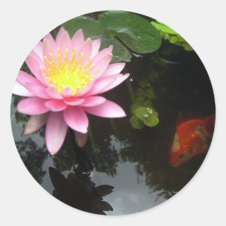 Pegatina Redonda El Lily y el Goldfish
