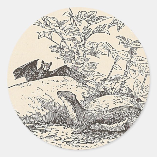 Pegatina Redonda El murciélago y el mink (Anverso)