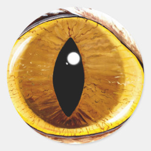 Pegatina Redonda El ojo de gato pintado