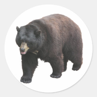 Pegatina Redonda El oso de Helaine