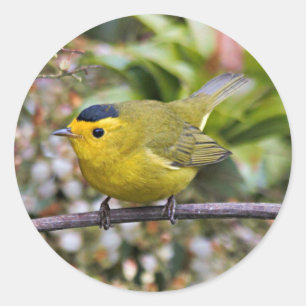 Pegatina Redonda El pájaro aguafiestas de Cute Wilson sobre el Grap