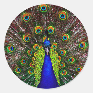 Pegatina Redonda El pavo real