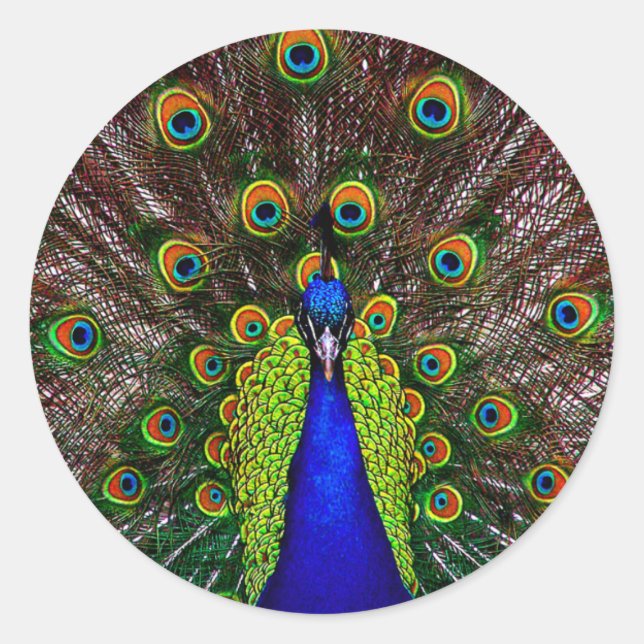 Pegatina Redonda El pavo real (Anverso)