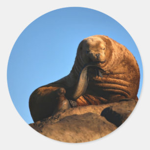 Pegatina Redonda El pensador