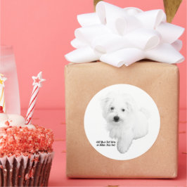 Pegatina Redonda El perro maltés más lindo de todos los tiempos