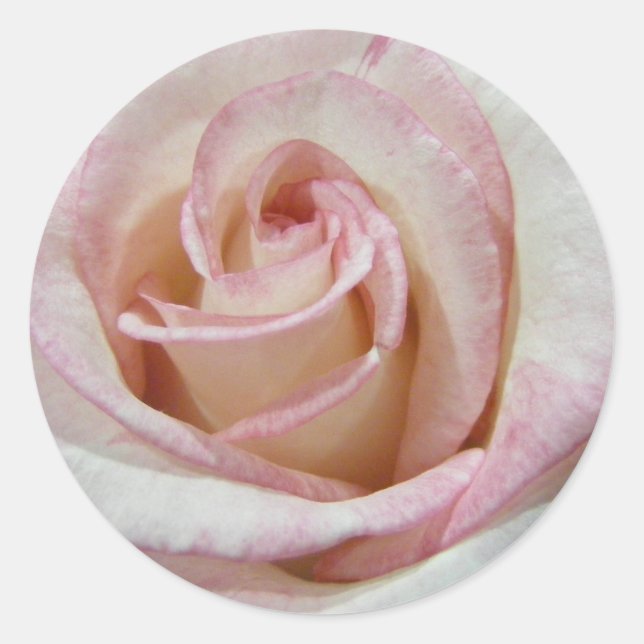 Pegatina Redonda El primer Rosa de Rubor de Love (Anverso)