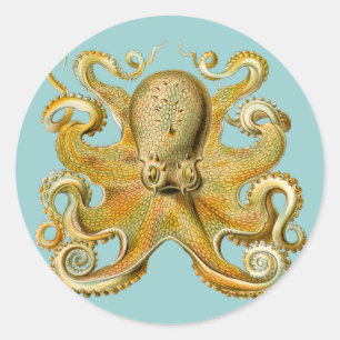 Pegatina Redonda El pulpo de Ernst Haeckel