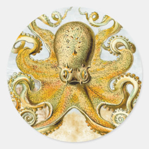Pegatina Redonda El pulpo náutico pintado Kraken Squid