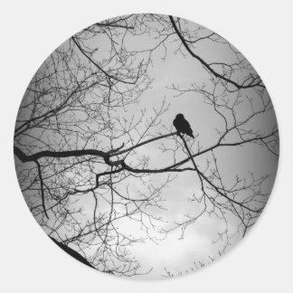 Pegatina Redonda El Raven