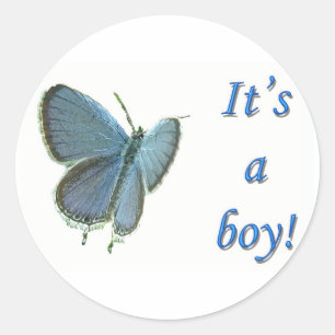Pegatina Redonda El Recién nacido azul de la cola del este es un ni