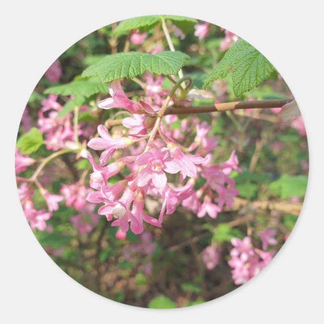Pegatina Redonda El rosa de Pokey en el parque (Anverso)