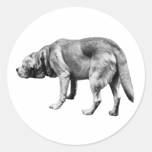 Pegatina Redonda Él sabe el camino