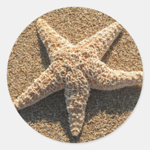 Pegatina Redonda El Starfish en la playa